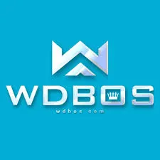 WDBOS - Tantangan Puzzle Seru untuk Semua Kalangan